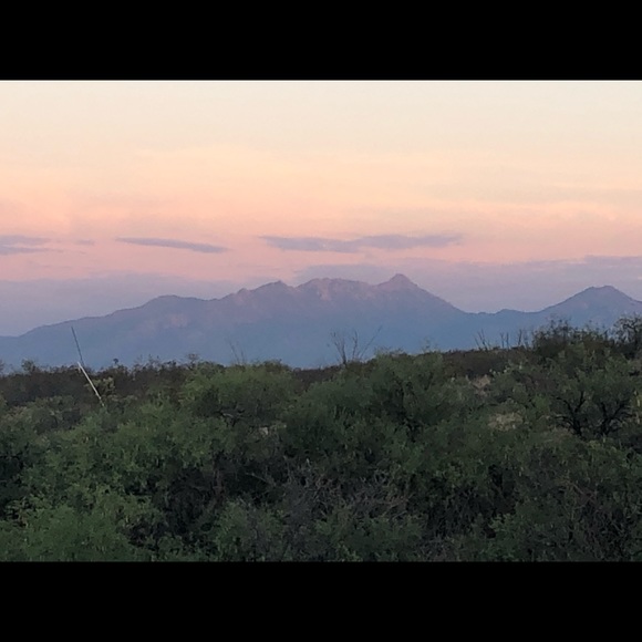 Meet your Posher, Lisa - Picture 4 of 10